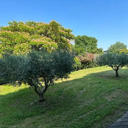 Studio Nîmes Nîmes